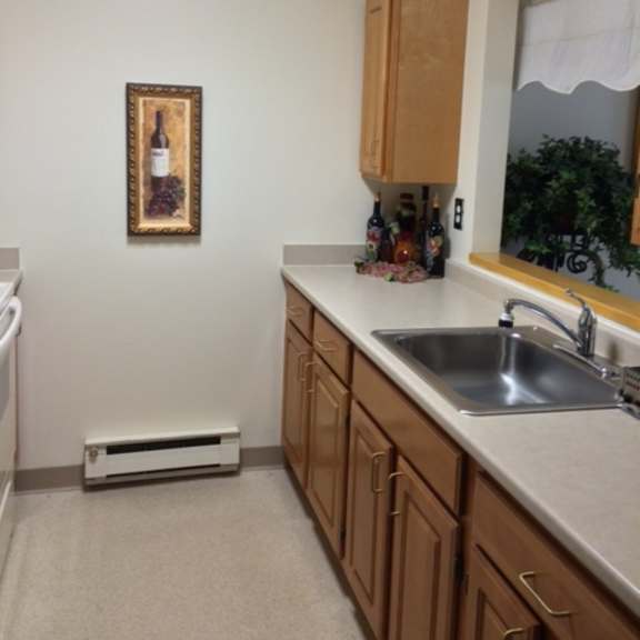 a kitchen with a sink and a painting on the wall