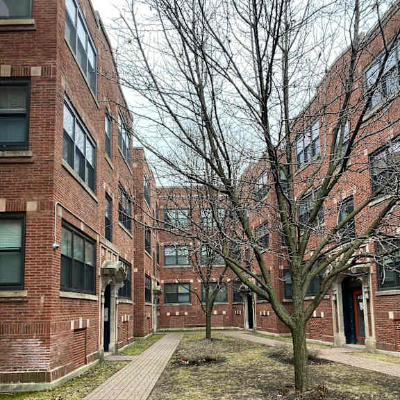 a tree in front of a brick building.