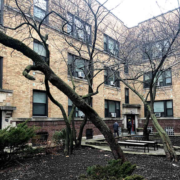 a tree branch is in the foreground of a building.