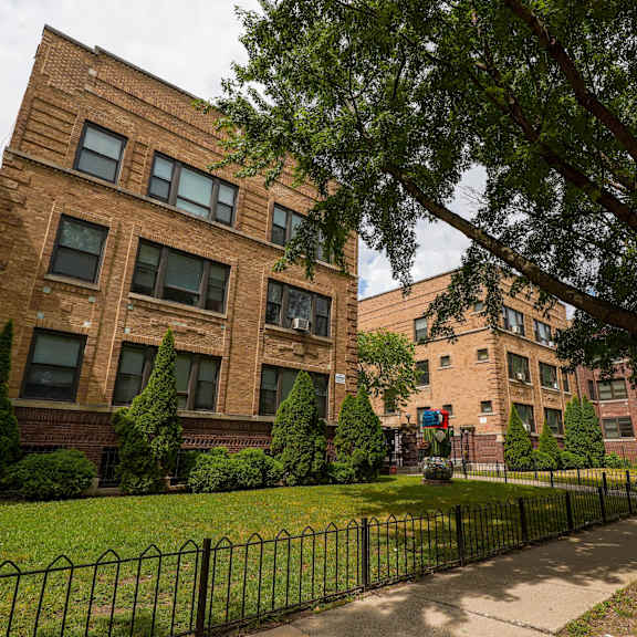 a tree in front of a brick building.