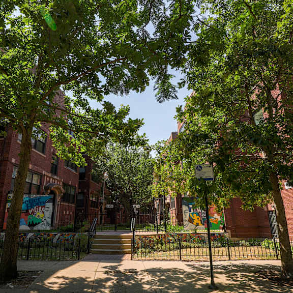 a tree-lined street with a blue sign on a pole.
