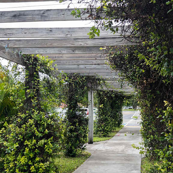 a pathway is covered with greenery and plants.
