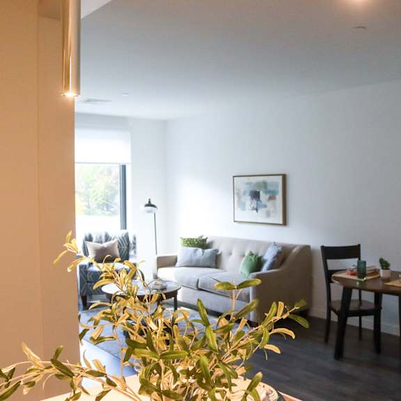 living room at 20 stephenson aman at clarendon hill, somerville, 02144