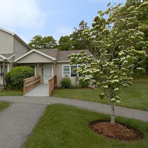 a house with a grey roof and a white door is surrounded by greenery.