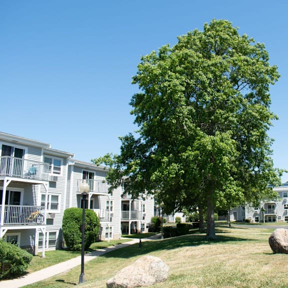 a large tree in front of an apartment complex