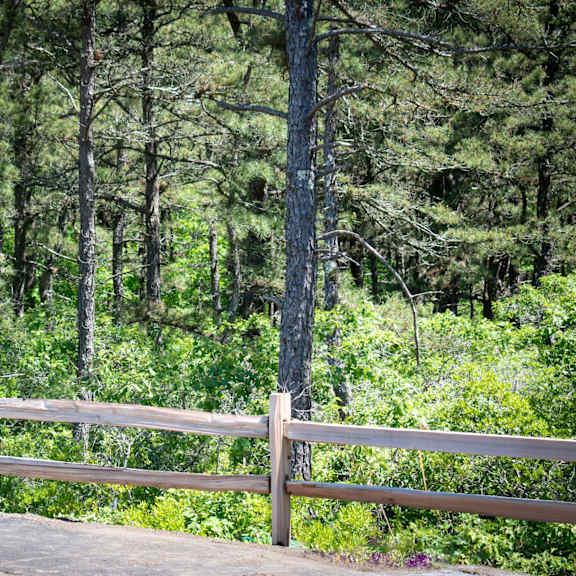 a wooden fence with a forest in the background