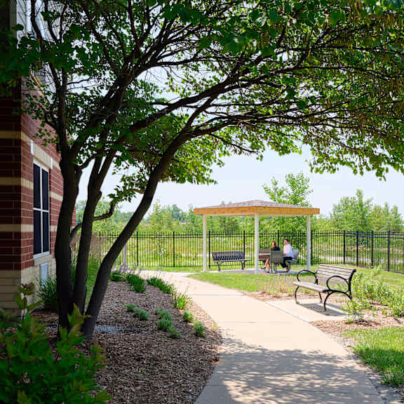 a park with a bench and a tree.