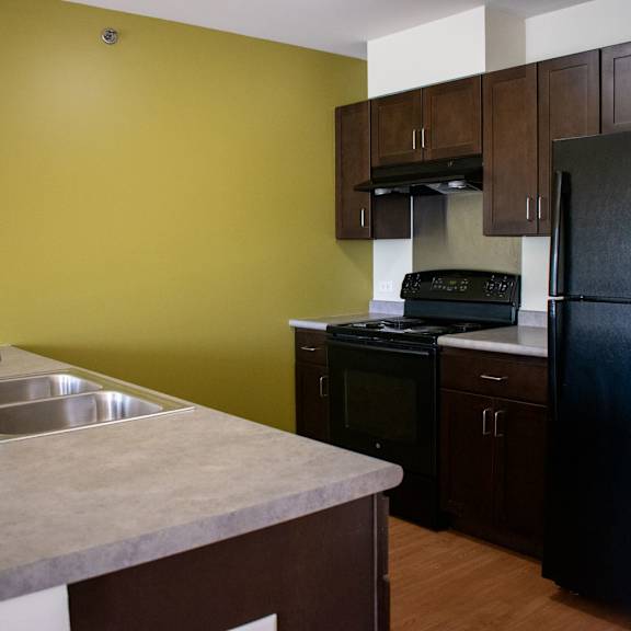 a kitchen with green walls and black appliances