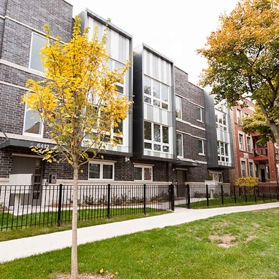 a tree with yellow leaves stands in front of a grey building.