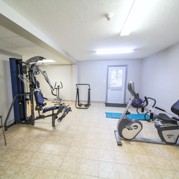 a gym room with a treadmill, weights, and a bench press.