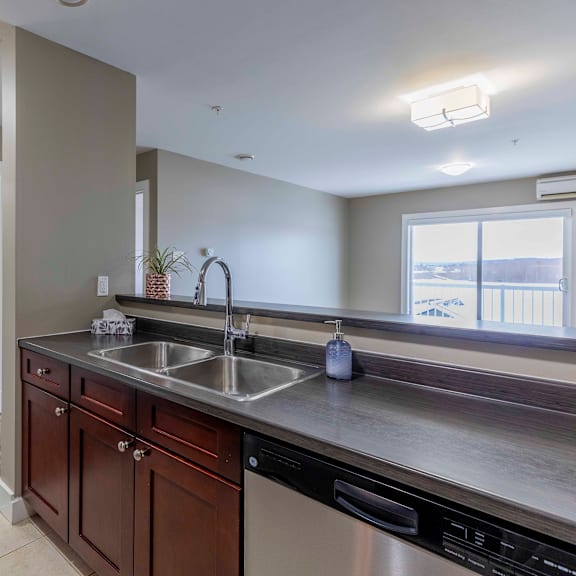 a kitchen with a stainless steel sink and brown cabinets.