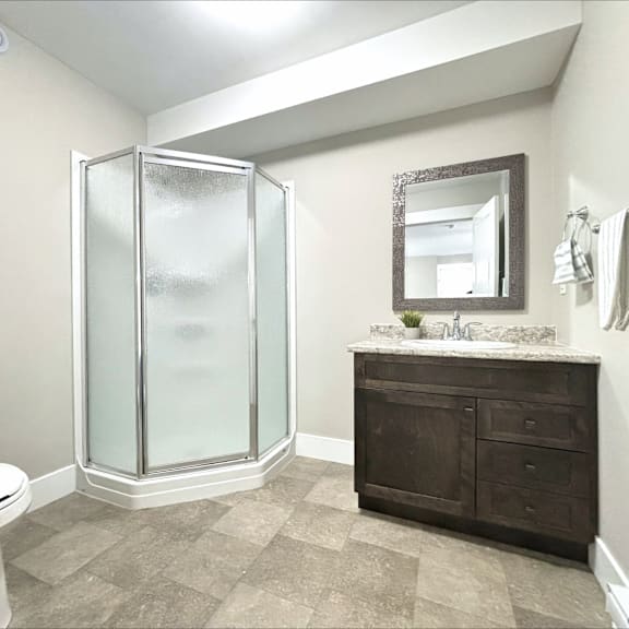 a bathroom with a toilet, a walk-in shower, and a vanity with a mirror.