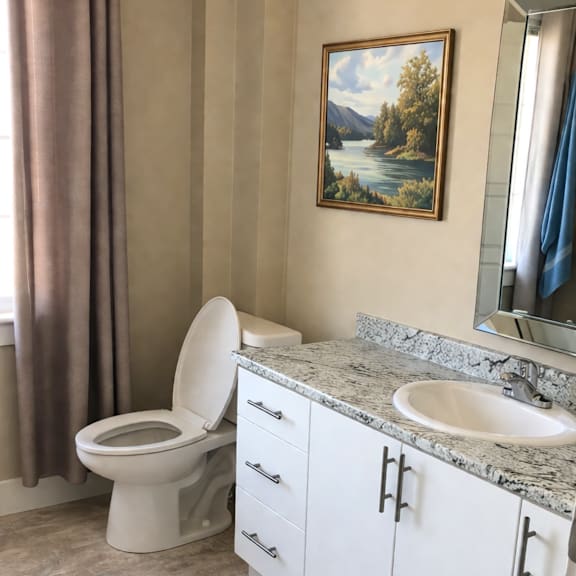 a bathroom with a toilet, sink, and a painting of a lake.