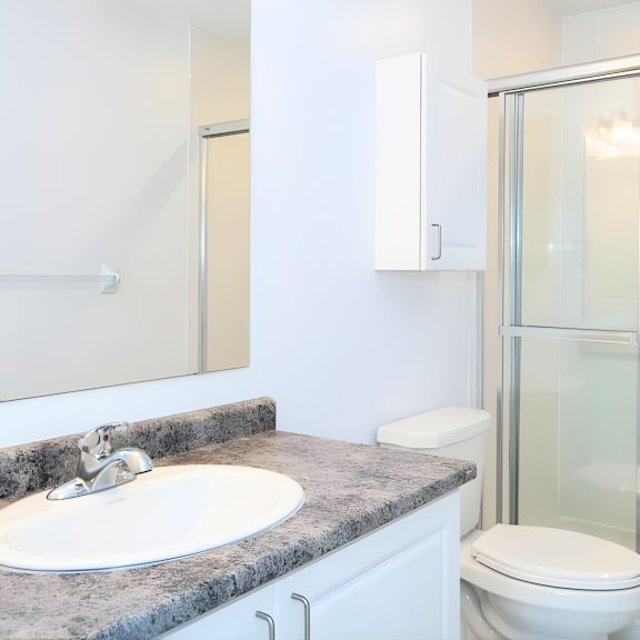 a white toilet sits next to a sink in a bathroom.