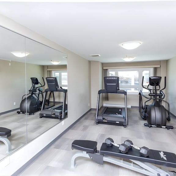 a mirrored wall in a gym with a row of exercise equipment.