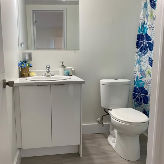 19 plateau crescent bathroom
