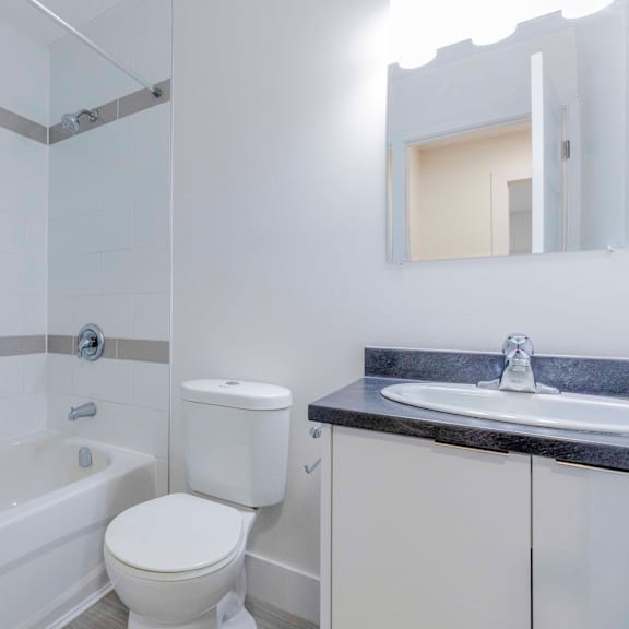 a white toilet sits next to a bathtub in a bathroom.