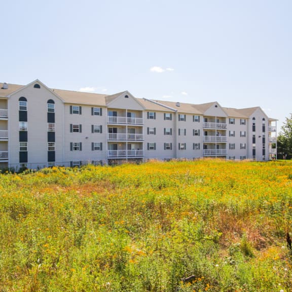 a field of wildflowers in front of apartment buildings.