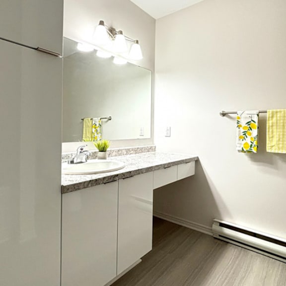 a bathroom with a sink and mirror.