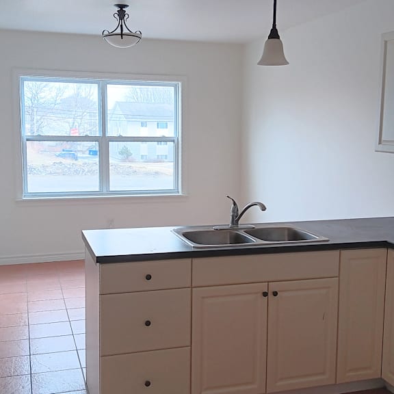 a kitchen with a sink and cabinets.