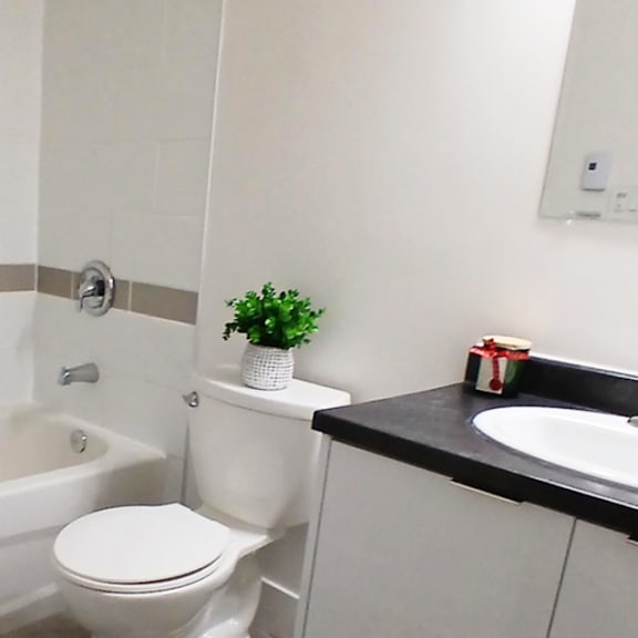 a white toilet sits next to a bathtub in a bathroom.