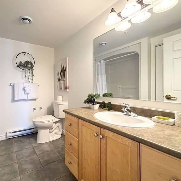 a bathroom with a toilet, sink, and mirror.