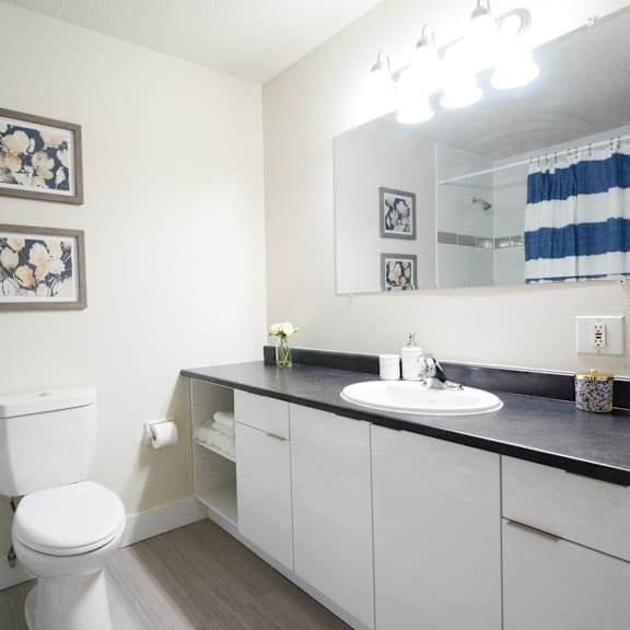a white toilet sits in a bathroom with a sink and mirror.