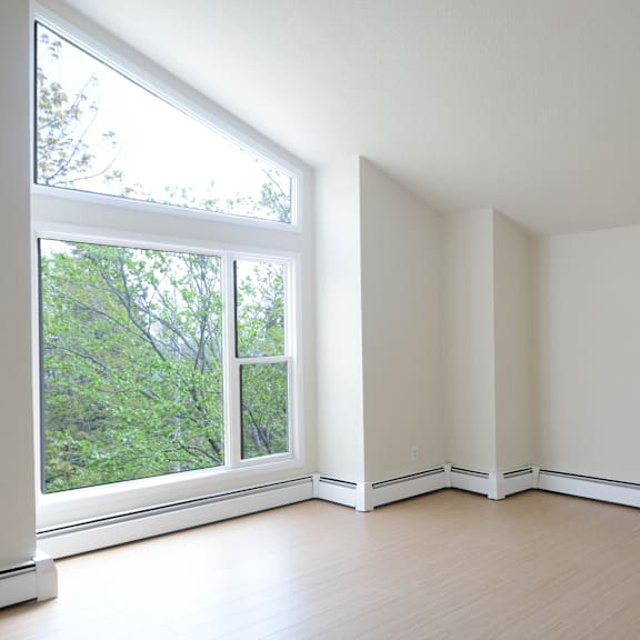 a room with a window overlooking a tree-filled area.