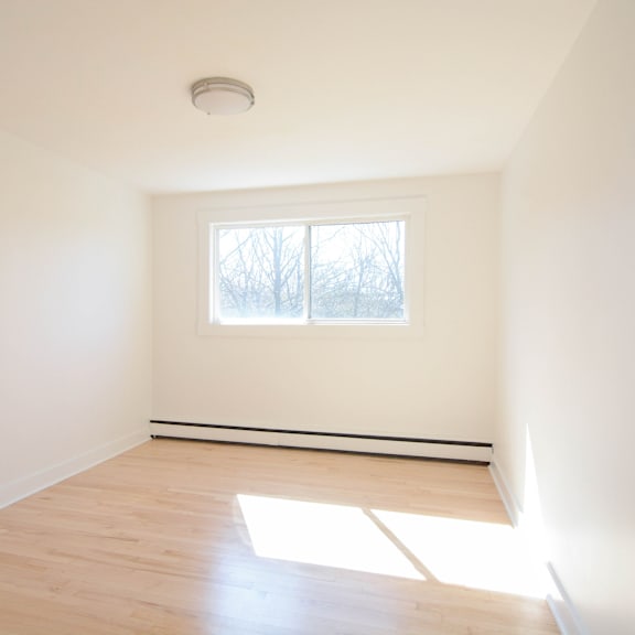 6 jamieson street bedroom 1