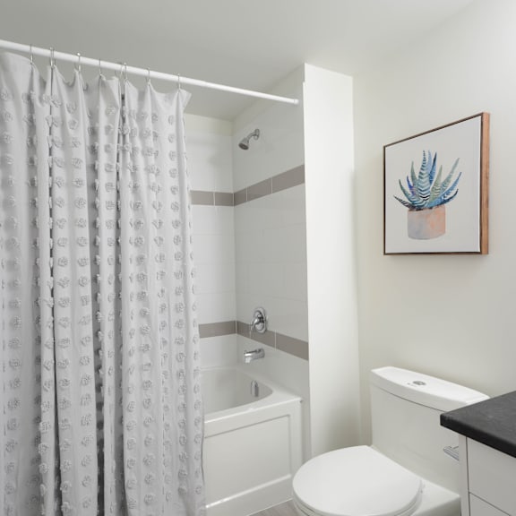 a bathroom with a white toilet, a white sink, a shower with a grey curtain, and a picture of a plant on the wall.