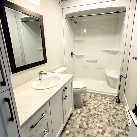 a bathroom with a sink, toilet, and shower.