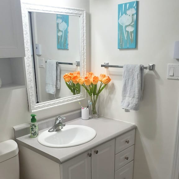 a bathroom with a white sink and a mirror above it.