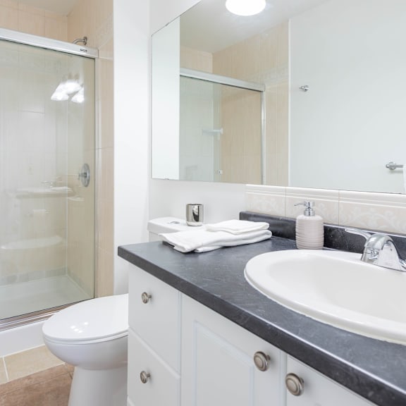a white toilet sits next to a walk-in shower in a bathroom.
