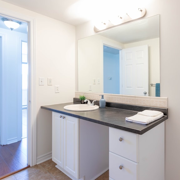 a bathroom with a sink, mirror, and cabinets.