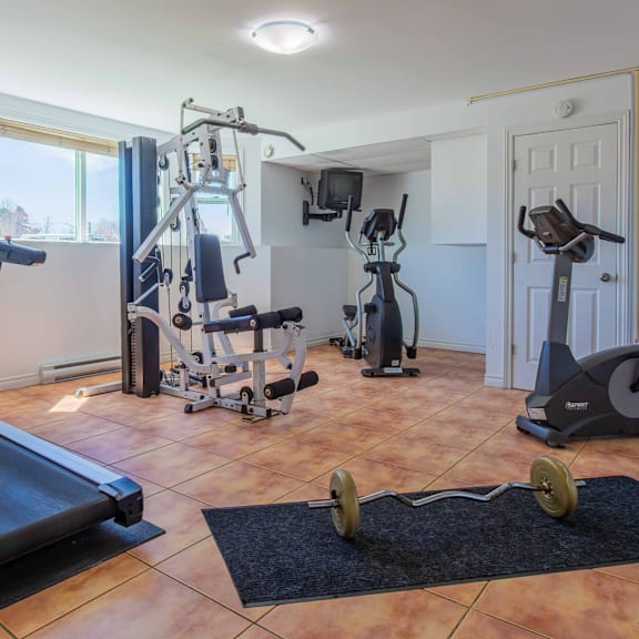 a home gym with a treadmill, weights, and exercise machines.