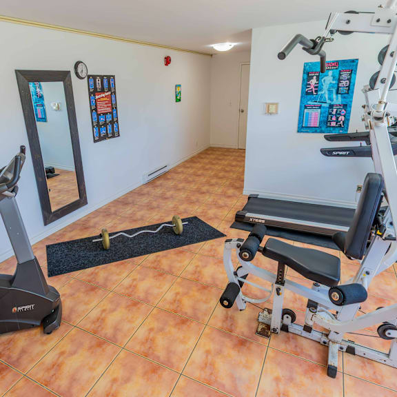 a treadmill and a bench press are in a room with a mirror.