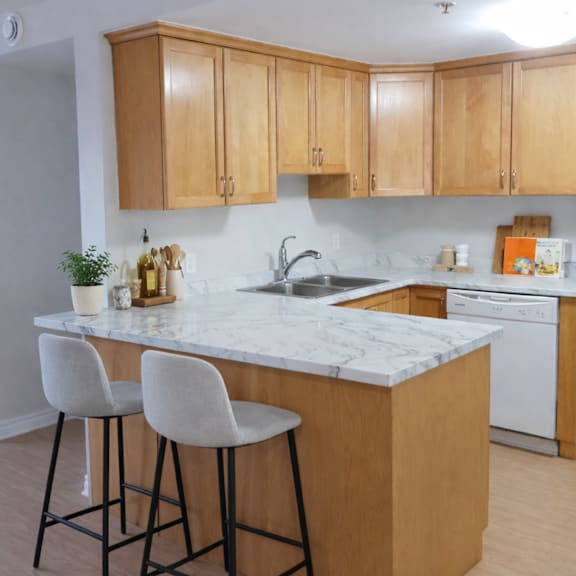 a kitchen with a marble countertop and wooden cabinets.