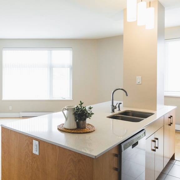 a kitchen with a sink and a window.