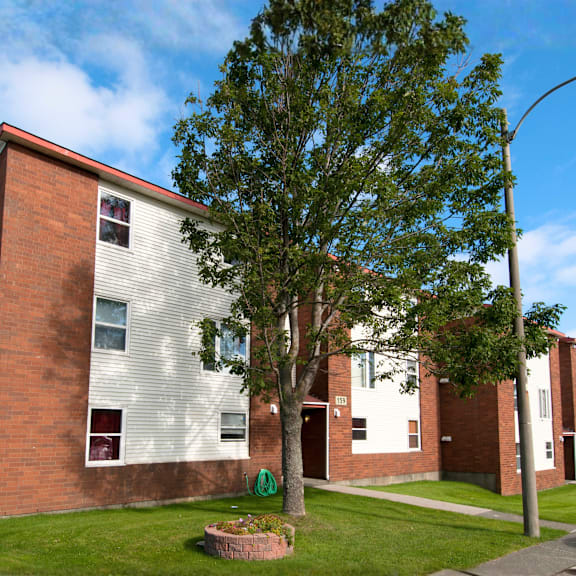 a tree in front of a brick building with a red roof.