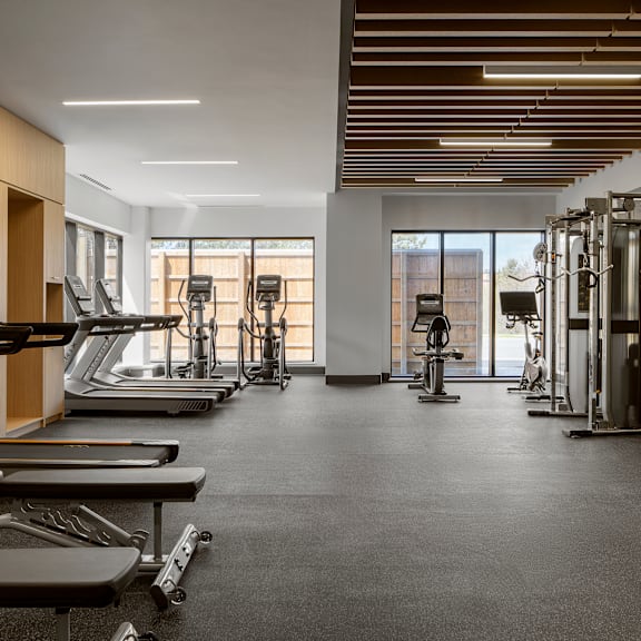 a gym with treadmills, elliptical machines, and other exercise equipment.
