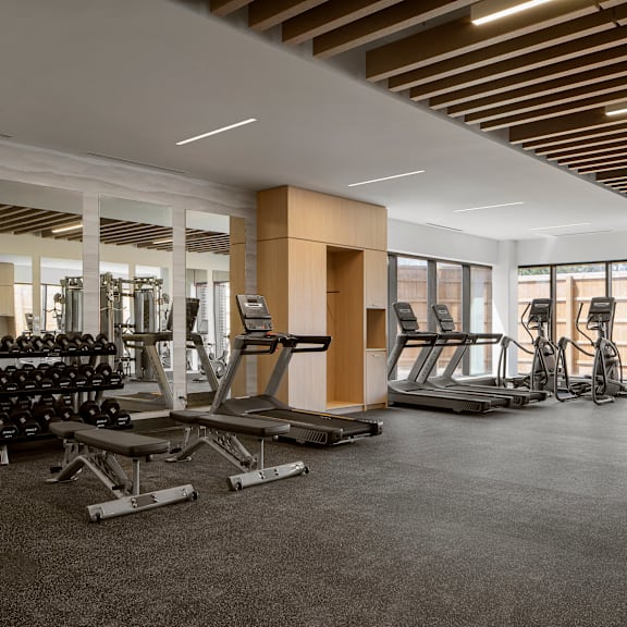 a gym with a variety of equipment including treadmills, weights, and benches.
