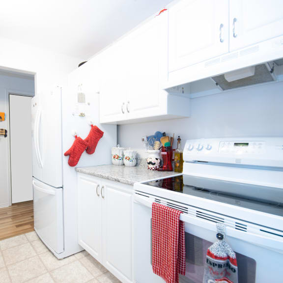 buckingham place kitchen appliances