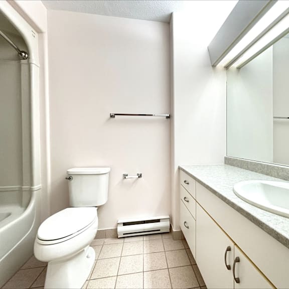 a white toilet sits in a bathroom next to a sink.