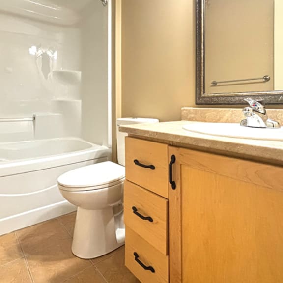 a white toilet sits next to a bathtub in a bathroom.