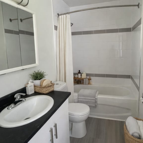 a bathroom with a sink, toilet, and bathtub.
