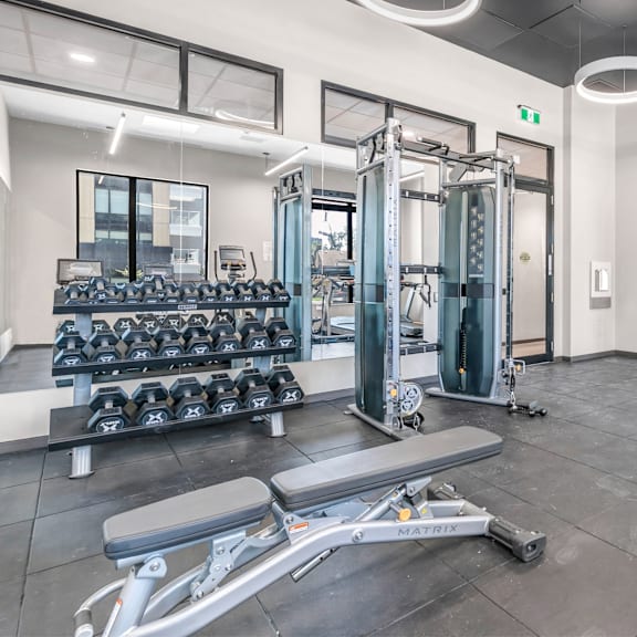 a gym with a variety of equipment including dumbbells, weight plates, and a leg press machine.