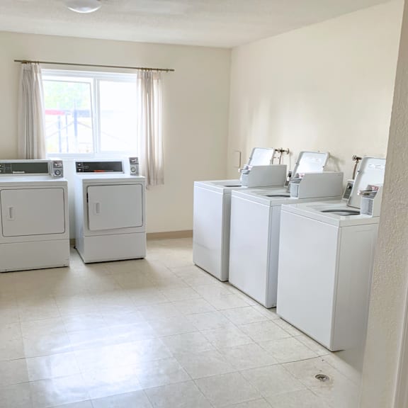 a row of white washing machines in a laundry room.