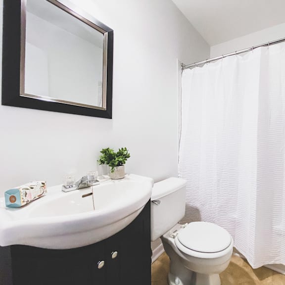 a white toilet sits next to a sink in a bathroom.