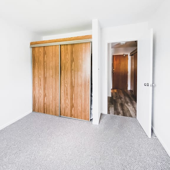 a room with a grey carpet and a wooden wardrobe.