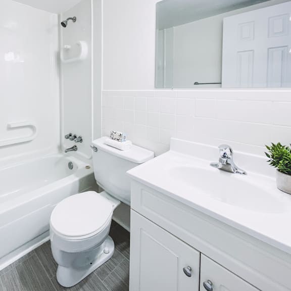 a white toilet sits next to a white sink in a bathroom.